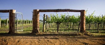 CAPE MENTELLE VINEYARDS