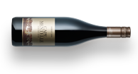 Shiraz 2008