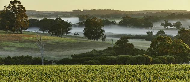 Link to CROSSROAD VINEYARD