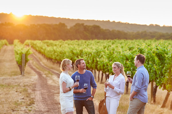 Cape Mentelle - in the vineyards