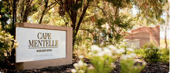 Cape Mentelle tasting room