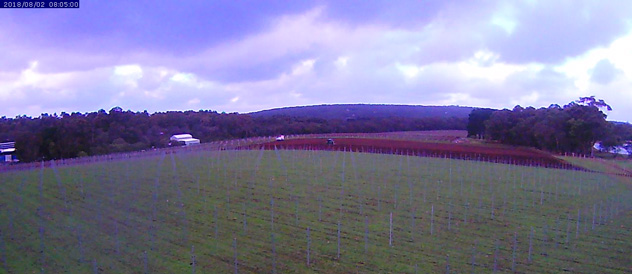 Learn more about the vineyard camera