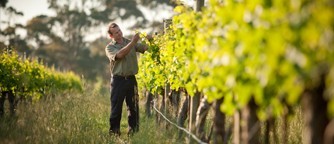 Learn more about sustainable practices