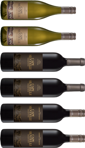 Halliday Wine Companion 6 pack